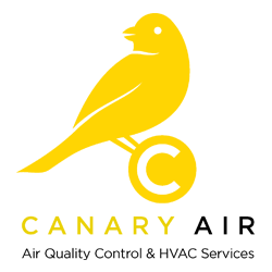 Canary Air Logo